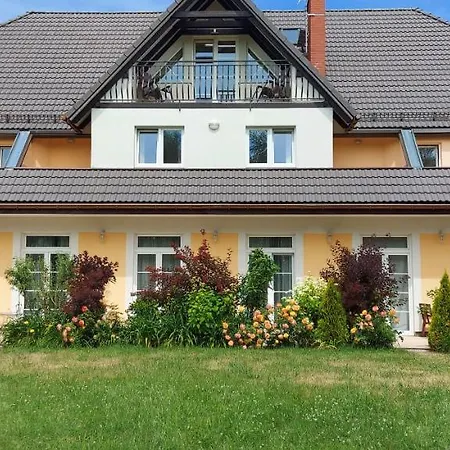 Nautilus Pearl * Chłopy