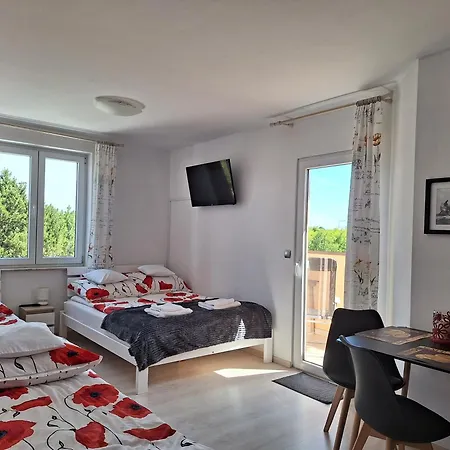 Nautilus Pearl Chłopy