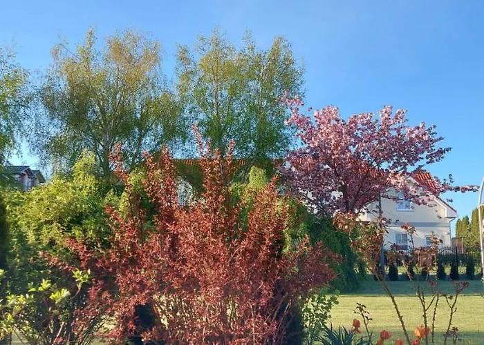 Habitación en casa particular Nautilus Pearl *